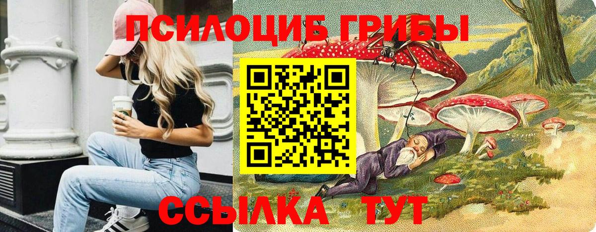 Псилоцибиновые грибы Cubensis Полысаево